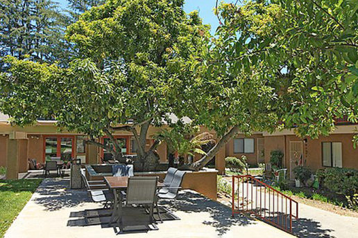 Outdoor seating area with tables and chairs near trees and exterior of buildings